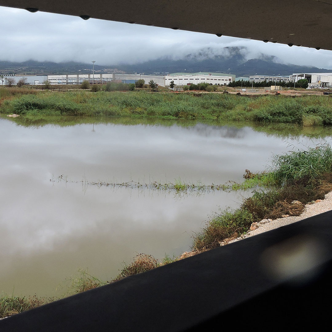 Els aiguamolls del Pla de Santa Maria. Marius Domingo de Pedro