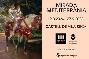 Banner inici 009 – Castell Vila-seca